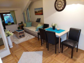 Vila Mina apartman medvedic kop